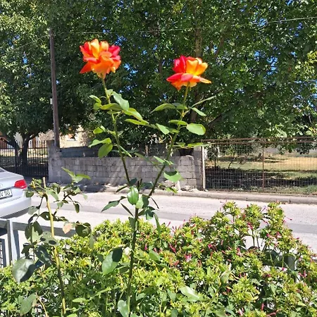 Проживание в семье Desire *