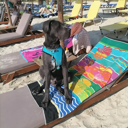 Quarto em Acomodações Particulares Desire Korinós